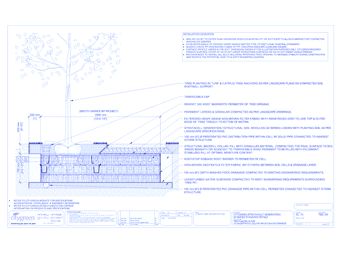 Stratacell™ Tree Planting in Turf - 750 mm Depth Soil Cells w/ Irrigation and Root Barrier (Distribution)